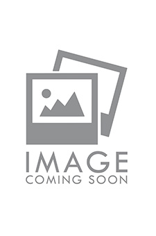The image shows a logo with the text  IMAGE  and below it, a stylized camera icon, followed by a placeholder graphic commonly used in web design to indicate where an actual image would be placed.